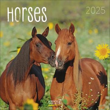portada Horses 2025: Broschürenkalender mit Ferienterminen. Pferde und Ponys. 30 x 30 cm