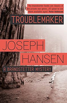 portada Troublemaker: Dave Brandstetter Investigation 3 (en Inglés)