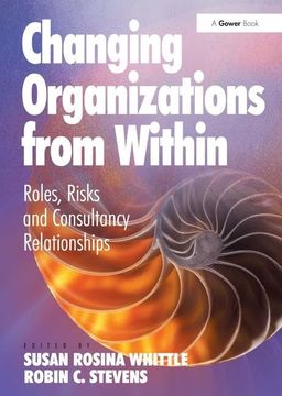 portada Changing Organizations from Within: Roles, Risks and Consultancy Relationships (in English)