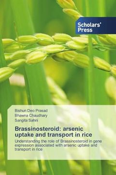 portada Brassinosteroid: Arsenic Uptake and Transport in Rice (en Inglés)