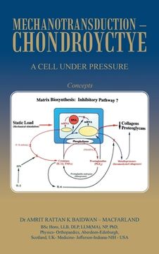 portada Mechanotransduction - Chondroyctye: A Cell Under Pressure (en Inglés)