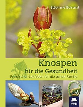 portada Knospen für die Gesundheit: Praktischer Leitfaden für die Ganze Familie (in German)