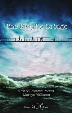 portada The Fragile Bridge (en Inglés)