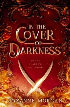 portada In The Cover of Darkness (in English)