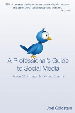 portada A Professionals Guide to Social Media: The complete step by step guide for an entrepreneur (en Inglés)