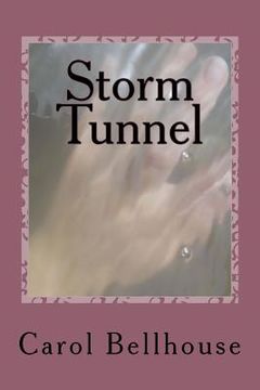 portada Storm Tunnel (en Inglés)
