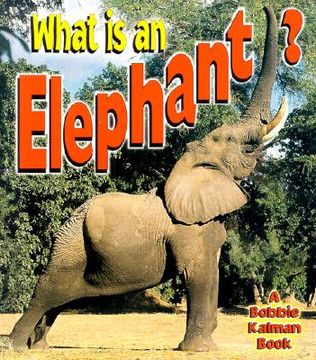 portada what is an elephant? (en Inglés)