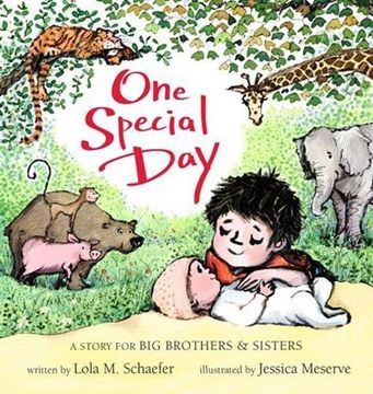portada One Special Day [Board Book] (A Story for Big Brothers and Sisters)