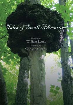 portada Tales of Small Adventure (in English)