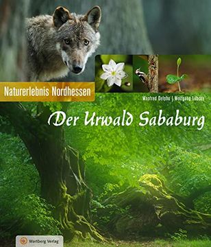 portada Der Urwald Sababurg: Naturerlebnis Nordhessen (en Alemán)
