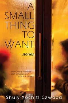 portada A Small Thing to Want 