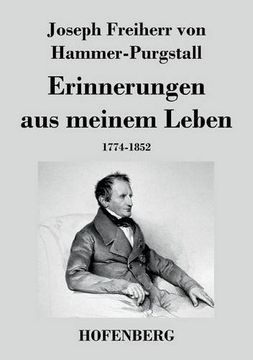 portada Erinnerungen aus meinem Leben (German Edition)