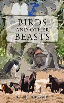 portada Birds and Other Beast (en Inglés)