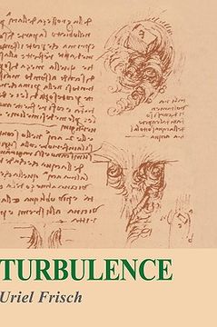portada Turbulence: The Legacy of a. N. Kolmogorov 