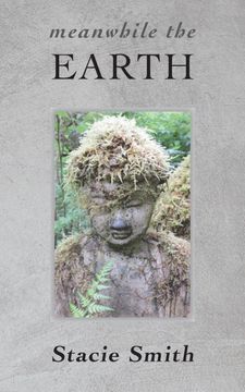 portada Meanwhile the Earth: Poems From Cougar Creek (in English)