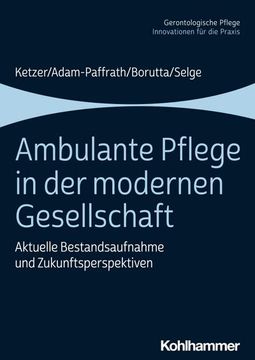 portada Ambulante Pflege in Der Modernen Gesellschaft: Aktuelle Bestandsaufnahme Und Zukunftsperspektiven (in German)