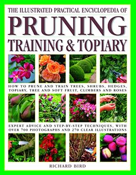 portada Illustrated Practical Encyclopedia of Pruning, Training and Topiary: How to Prune and Train Trees, Shrubs, Hedges, Topiary, Tree and Soft Fruit,. Photographs and 100 Practical Illustrations (en Inglés)