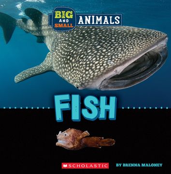 portada Fish (Wild World: Big and Small Animals) (in English)