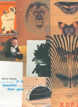 portada It is Beautiful Then Gone (Paperback) 