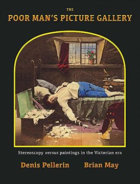 portada The Poor Man's Picture Gallery: Stereoscopy versus Paintings in the Victorian Era