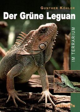 portada Der Grüne Leguan im Terrarium (en Alemán)