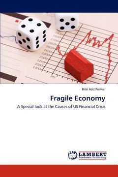 portada fragile economy (en Inglés)
