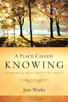 portada a place called knowing