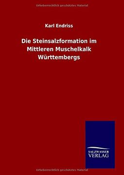 portada Die Steinsalzformation im Mittleren Muschelkalk Württembergs (German Edition)