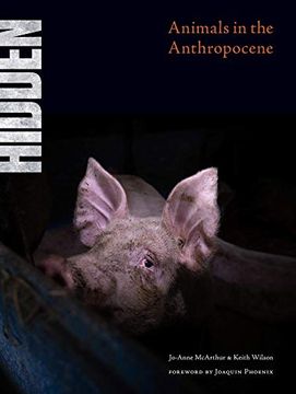 portada Hidden: Animals in the Anthropocene (en Inglés)
