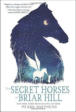 portada Secret Horses of Briar Hill (en Inglés)