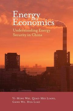 portada Energy Economics: Understanding Energy Security in China (in English)