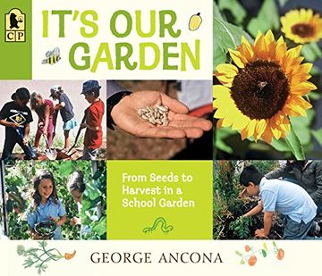 portada It's our Garden: From Seeds to Harvest in a School Garden (en Inglés)