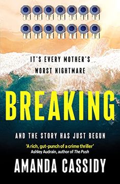 portada Breaking: A Compelling Debut From a new Voice in Irish Crime Fiction