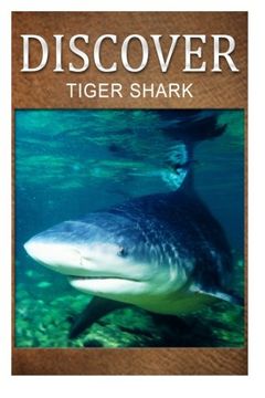 portada Tiger Shark - Discover: Early reader's wildlife photography book