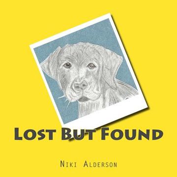 portada Lost But Found (en Inglés)
