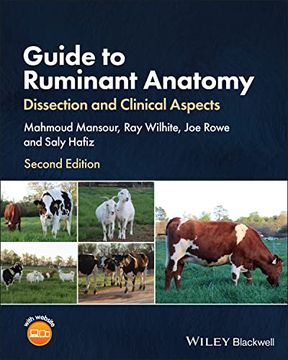portada Guide to Ruminant Anatomy: Dissection and Clinical Aspects (en Inglés)