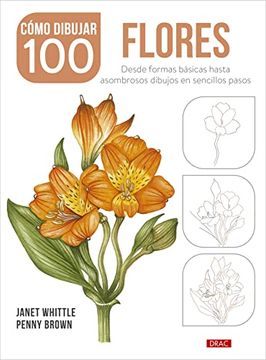 portada Como Dibujar 100 Flores