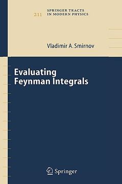 portada evaluating feynman integrals (en Inglés)