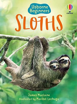 portada Beginners: Sloths