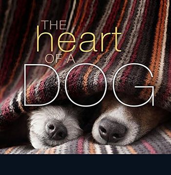portada The Heart of a dog 
