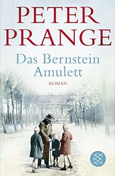 portada Das Bernstein-Amulett: Roman (en Alemán)