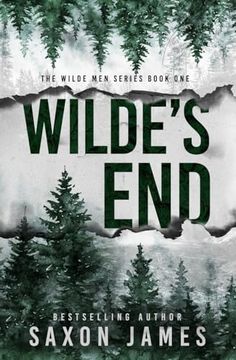portada Wilde's end