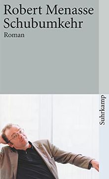 portada Schubumkehr: Roman (Suhrkamp Taschenbuch) (en Alemán)