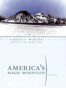 portada America's Magic Mountain (Lannan Selection) (en Inglés)