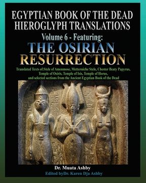 portada Egyptian Book of the Dead Hieroglyph Translations Volume 6 Featuring The Osirian Resurrection (en Inglés)