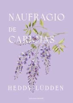 portada Naufragio de Caricias