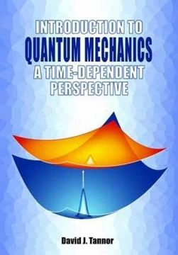 portada Introduction to Quantum Mechanics: A Time-Dependent Perspective (in English)