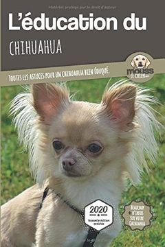 portada L'éducation du Chihuahua - Edition 2020 Enrichie: Toutes les Astuces Pour un Chihuahua Bien Éduqué (en Francés)