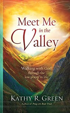 portada Meet me in the Valley: Walking With god Through the low Places in Life (en Inglés)