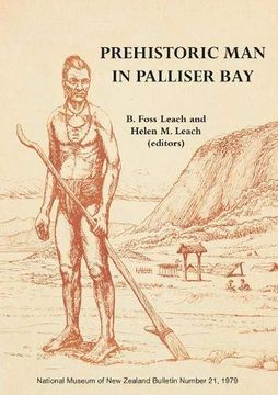 portada Prehistoric man in Palliser bay (in English)